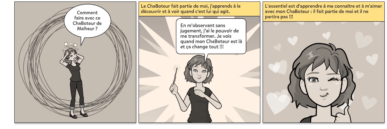 bd4 chaboteur